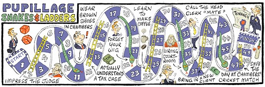 Pupillage Snakes and Ladders