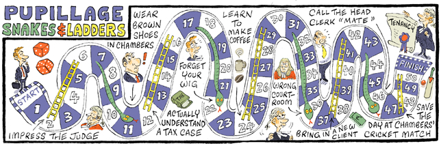 Pupillage Snakes and Ladders